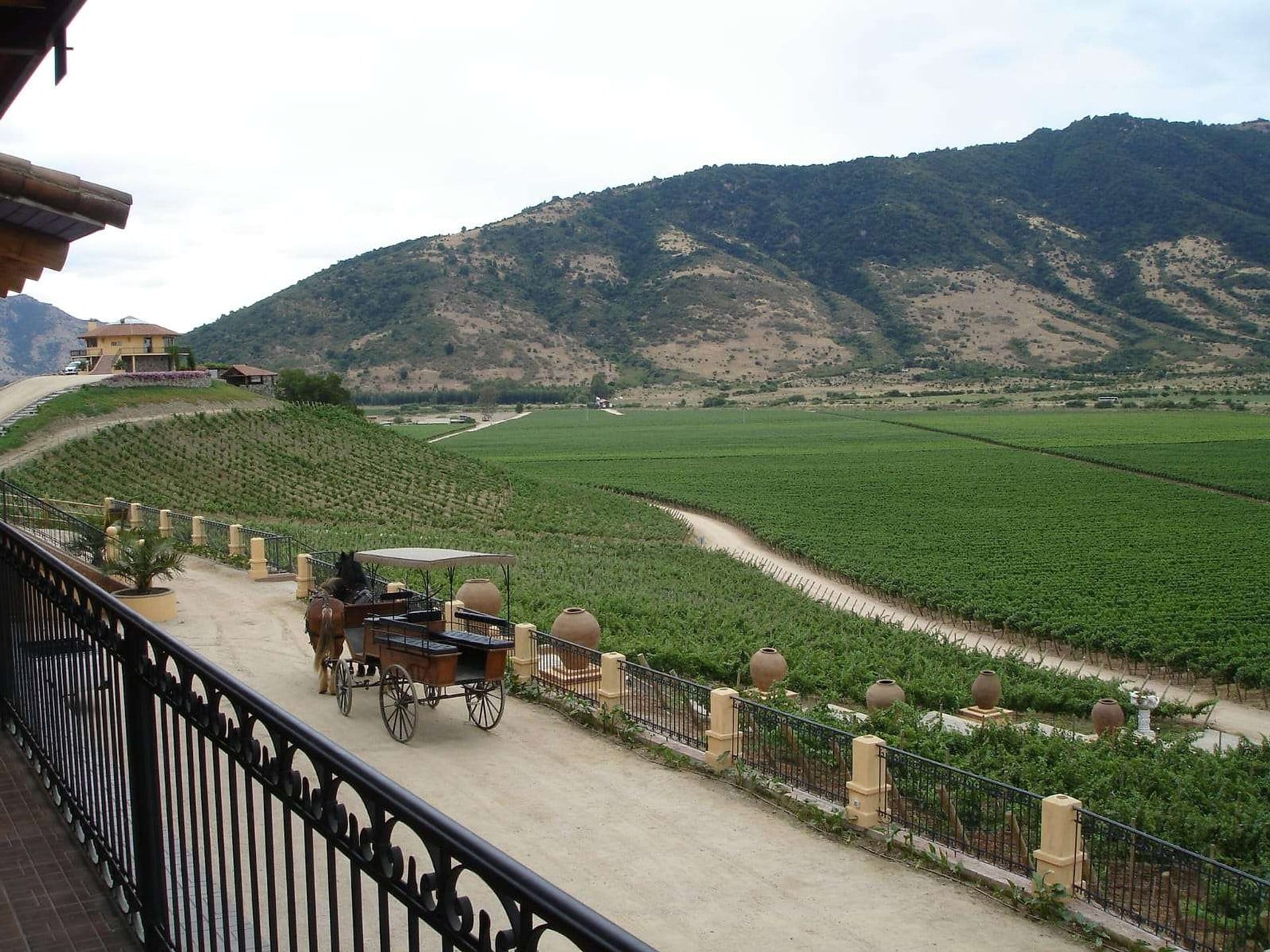 Colchagua Viña Santa Cruz Full Day