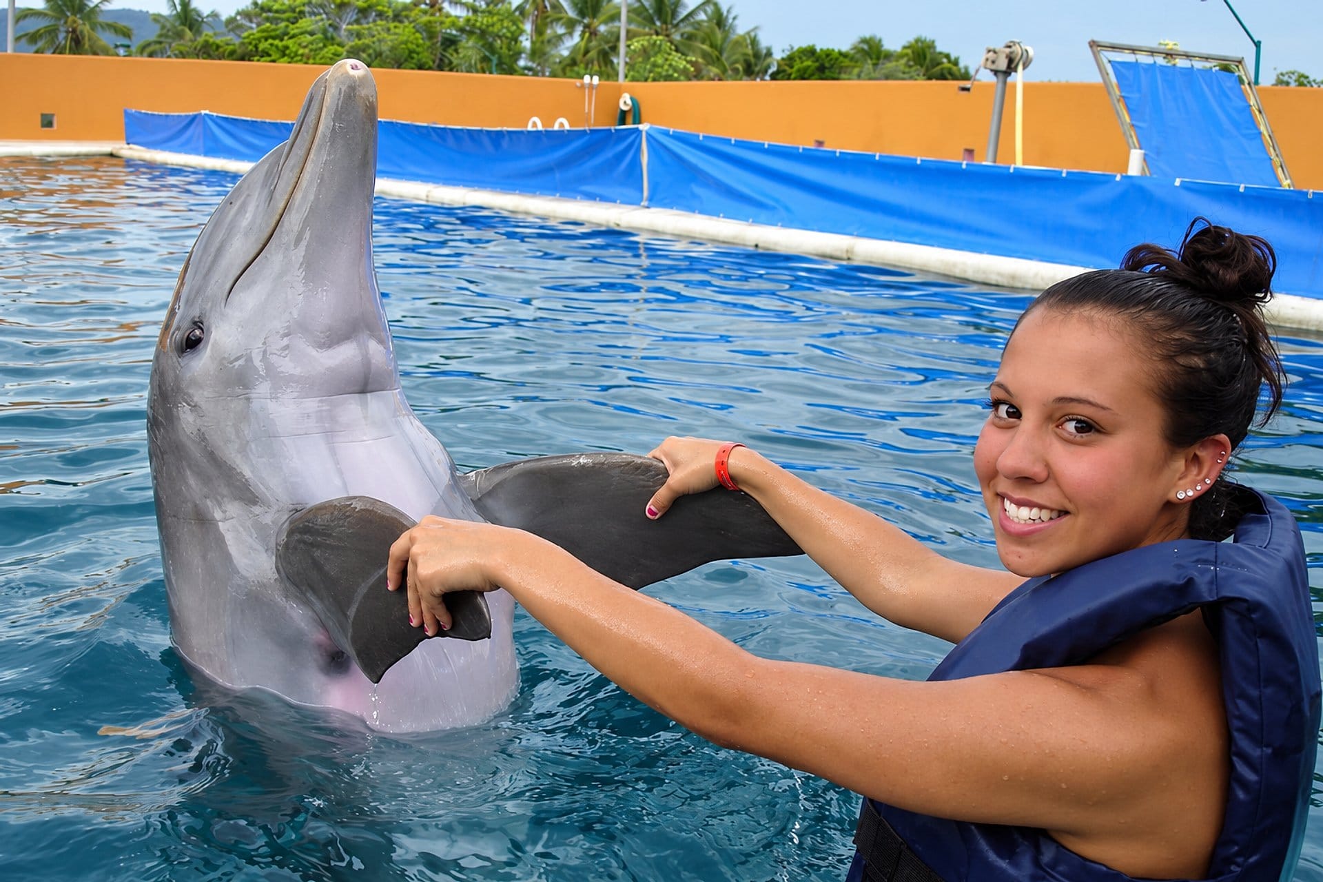 Dolphin Encounter - Isla Mujeres